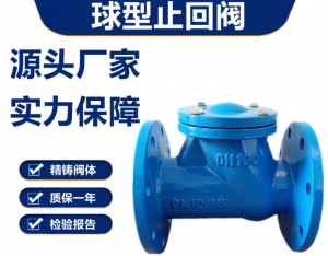 HQ41X-10Q DN50球墨鑄鐵滑道滾球式止回閥 微